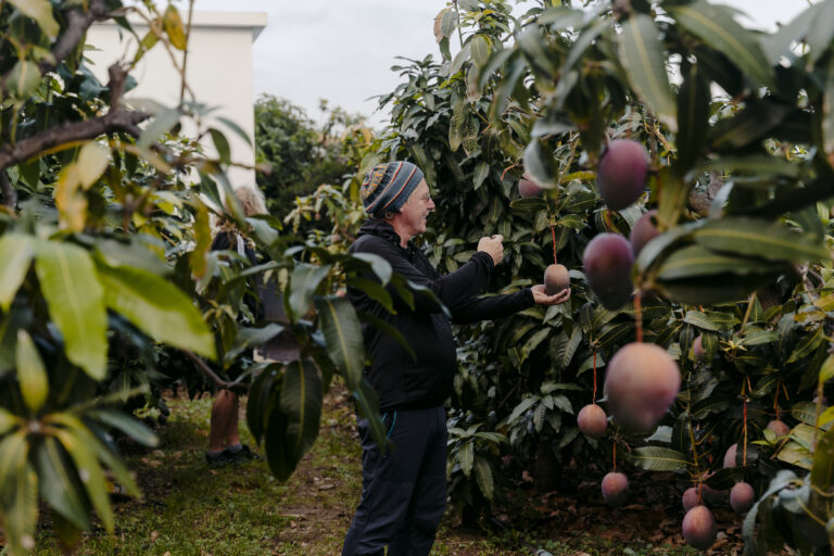 Mangos_guia_EcoFinca_Nogales
