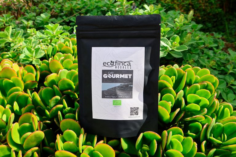 Cultivo de café ecológico en Ecofinca Nogales