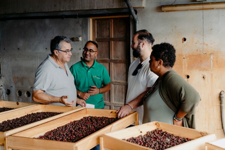 Cultivo de café ecológico en Ecofinca Nogales
